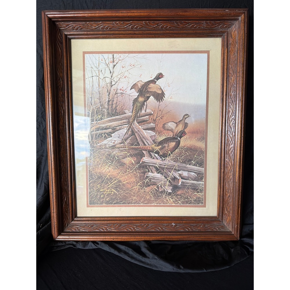 Gregory Messier Framed Pheasant Wildlife Print Ornate Wood Frame 17x20